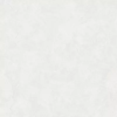 Gạch Viglacera CL-369