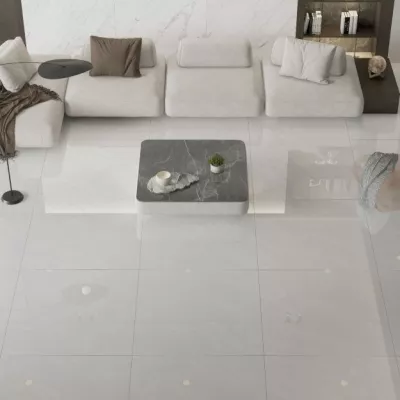 Gạch Viglacera CL2-P121201