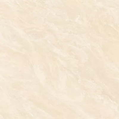 Gạch Viglacera CL2-P121204