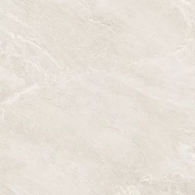 Gạch Viglacera CL20-6601