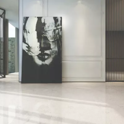 Gạch Viglacera ECO S821