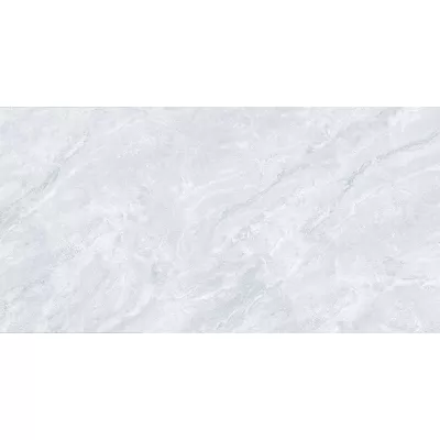 Gạch Viglacera KHPGP61206
