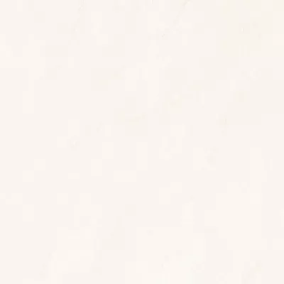 Gạch Viglacera NY2-P121204