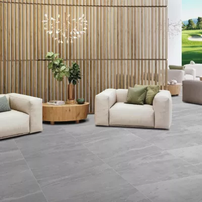 Gạch Viglacera Platinum PH6604