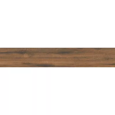 Gạch Viglacera PT-21202