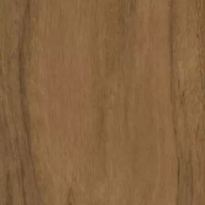 Gạch Viglacera PT-21205-T2