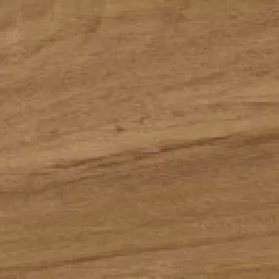 Gạch Viglacera PT-21206