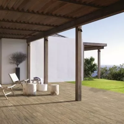 Gạch Viglacera PT21204