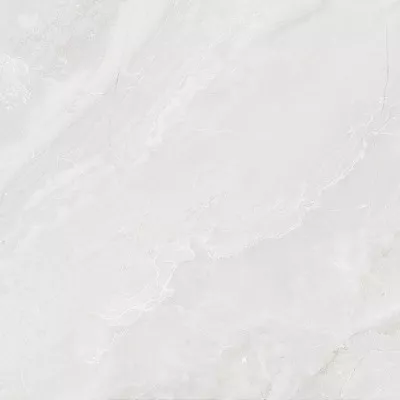 Gạch Viglacera SH-GP4801