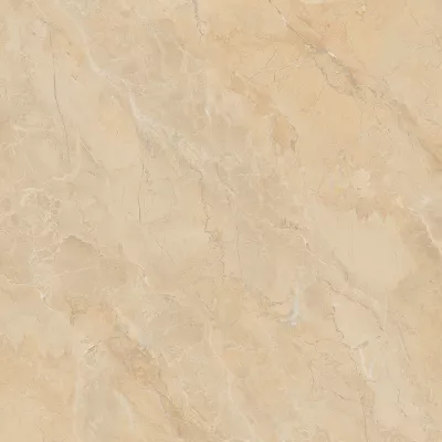 Gạch Viglacera SH-GP807