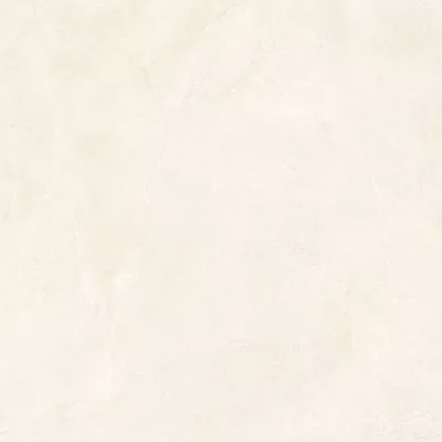 Gạch Viglacera SH2-P121204