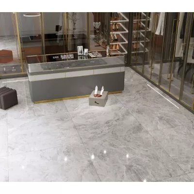 Gạch Viglacera SH52-9GP101001