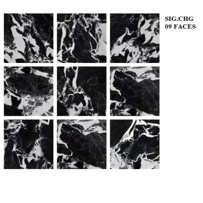 Gạch Viglacera SIG-CHG E01