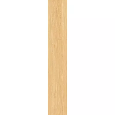 Gạch Viglacera T15902-1