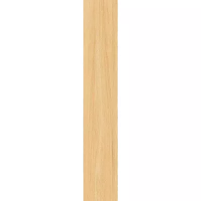 Gạch Viglacera T15902