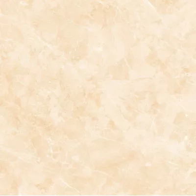 Gạch Viglacera TB608