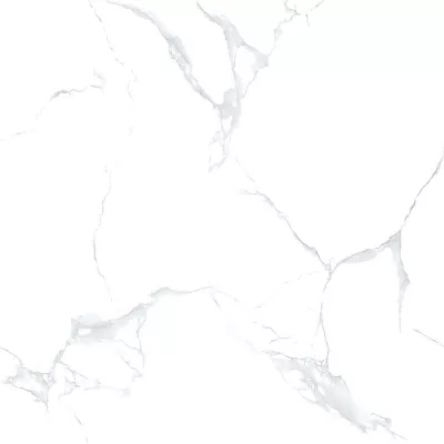 Gạch Viglacera TB6810