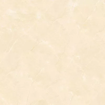 Gạch Viglacera TB810