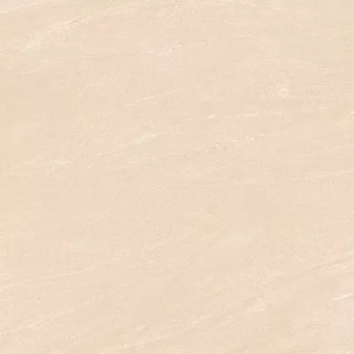 Gạch Viglacera TM 603/ TM 803