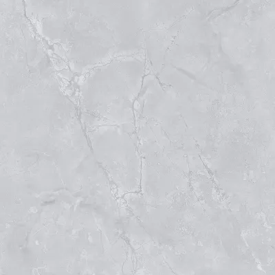 Gạch Viglacera TM-821