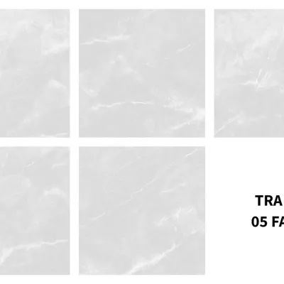 Gạch Viglacera TRA E01