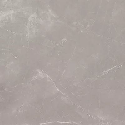 Gạch Viglacera TRA E03