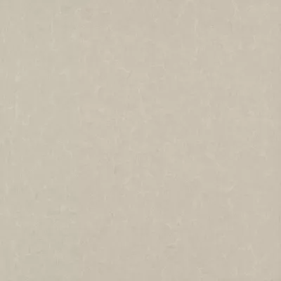 Gạch Viglacera TS2 817