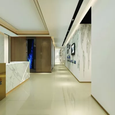 Gạch Viglacera TS6 602