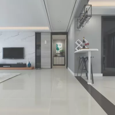 Gạch Viglacera TS6 803