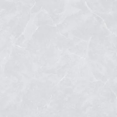 Gạch Viglacera VA3-P121201