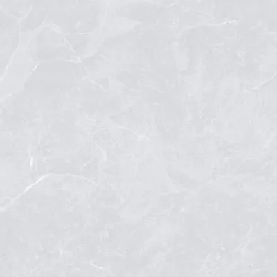 Gạch Viglacera VA3-P121201