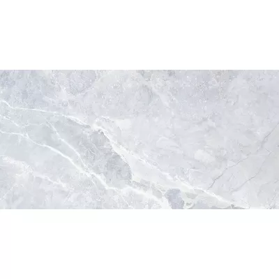 Gạch Viglacera VI9-9GP81601