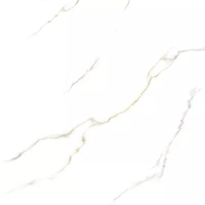 Gạch Viglacera VV-GP6605