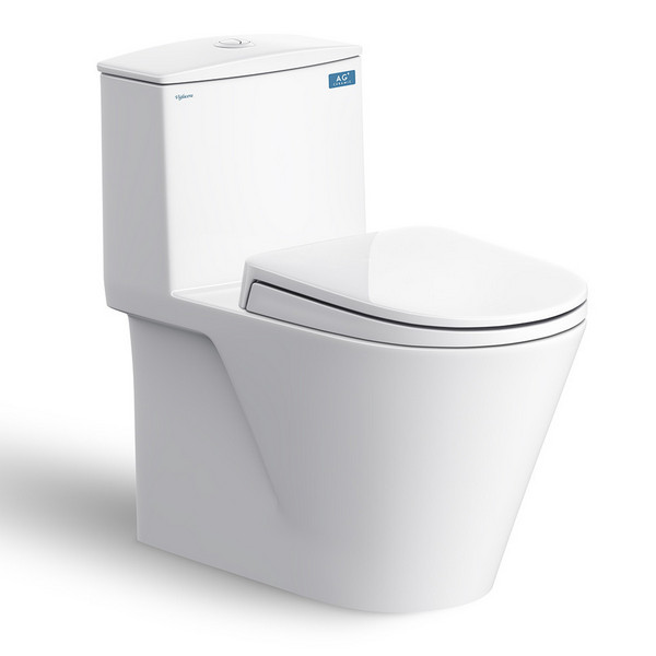 Bồn cầu Viglacera