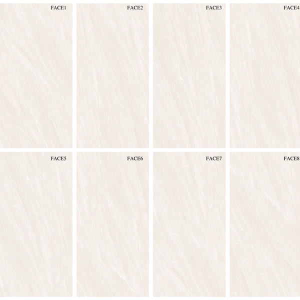 Gạch Viglacera ECO 48501